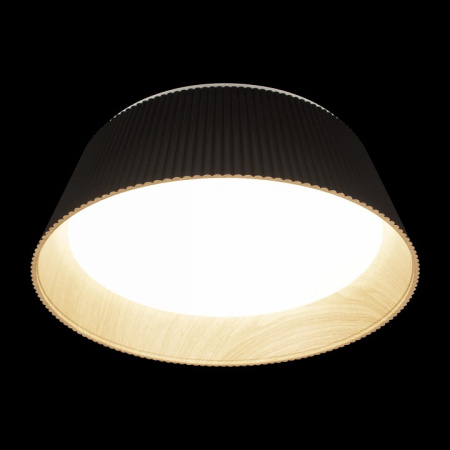 Открыть Накладной светильник Loft it Evans 10224 Black Фото Накладной светильник Loft it Evans 10224 Black