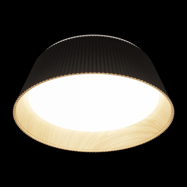 Открыть Накладной светильник Loft it Evans 10224 Black Фото Накладной светильник Loft it Evans 10224 Black