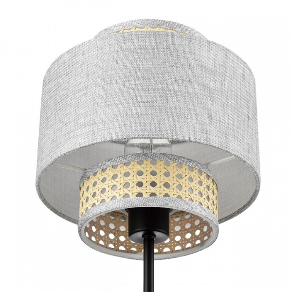 Фото Настольная лампа декоративная Lumion Launa 8043/1T