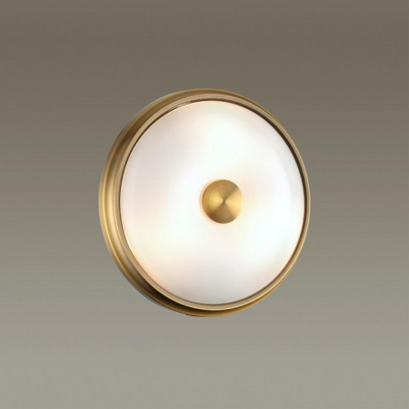 Фото Накладной светильник Odeon Light Pelow 4956/2