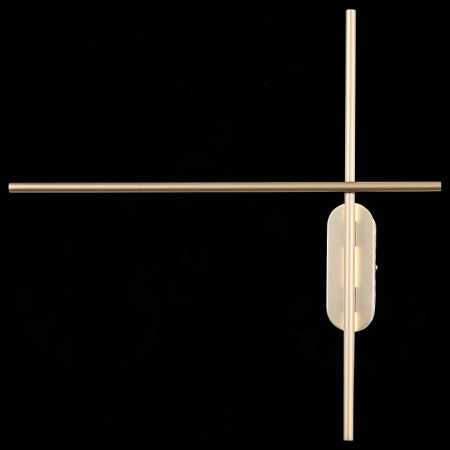 Фото Накладной светильник ST-Luce Basoni SL394.201.02