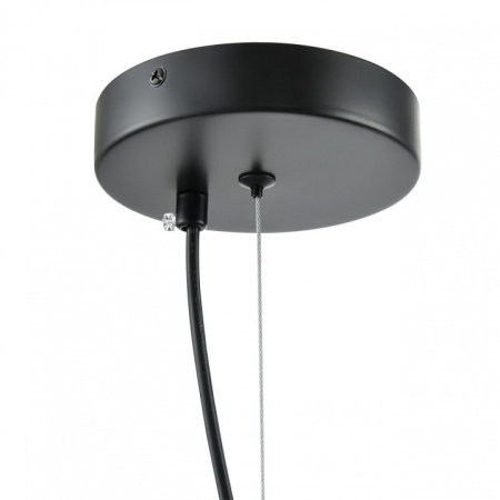 Фото Подвесной светильник Lumion Corne 6595/4A