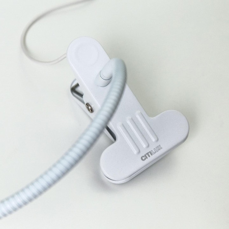 Фото Настольная лампа офисная Citilux Ньютон CL803070N