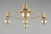 Фото Потолочная люстра Aployt Elison APL.911.07.05