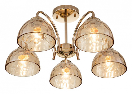 Открыть Накладной светильник Escada Mallow 665/5P Фото Накладной светильник Escada Mallow 665/5P