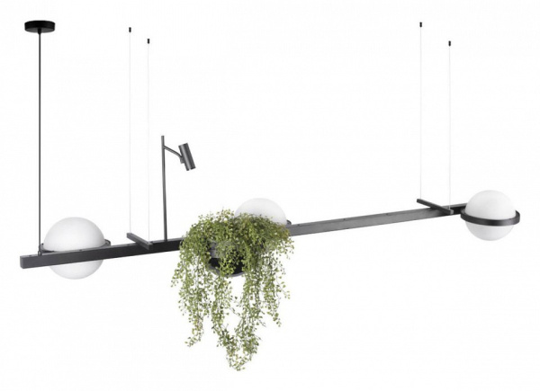 Фото Подвесной светильник Loft it Jardin 10121/C