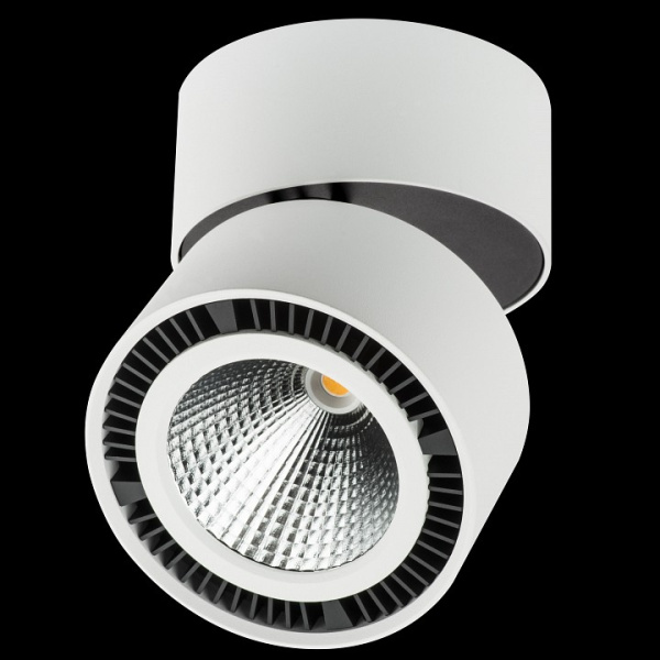 Фото Накладной светильник Lightstar Forte Muro 213830