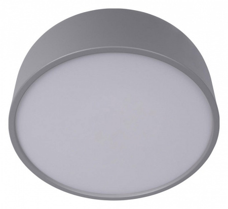 Открыть Накладной светильник Loft it Axel 10201/350 Grey Фото Накладной светильник Loft it Axel 10201/350 Grey