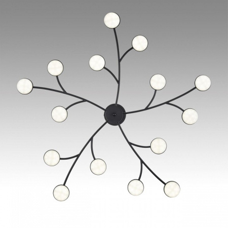 Фото Люстра на штанге Lumion Torina 8117/15