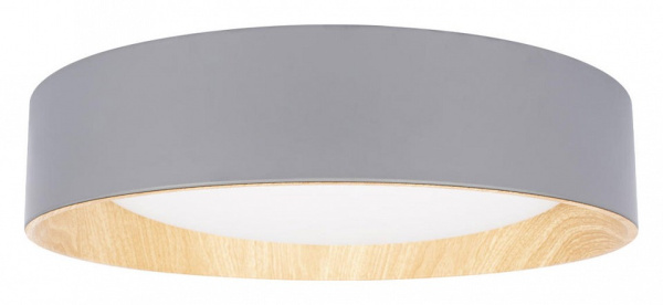 Фото Накладной светильник Loft it Coin 10202 Grey
