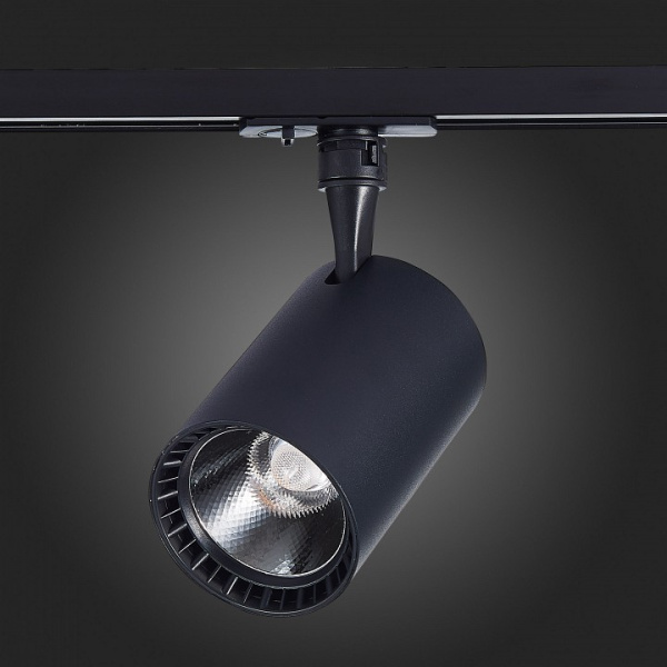 Фото Светильник на штанге ST-Luce Cami ST351.436.20.36