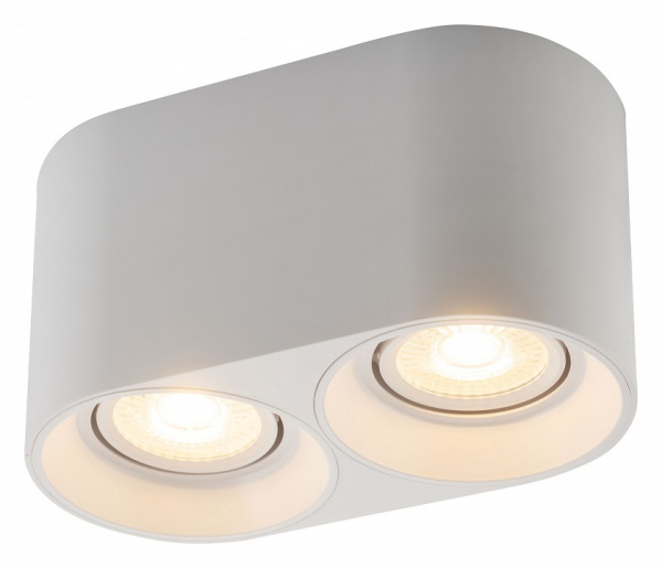 Фото Накладной светильник Denkirs DK3020WW DK3036-WH
