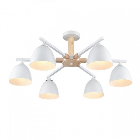 Фото Люстра на штанге Lumion Colange 8095/6C