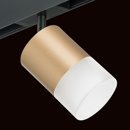 Фото Светильник на штанге Lightstar Rullo PRO349081