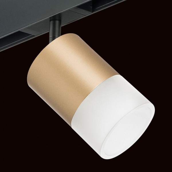 Фото Светильник на штанге Lightstar Rullo PRO349081