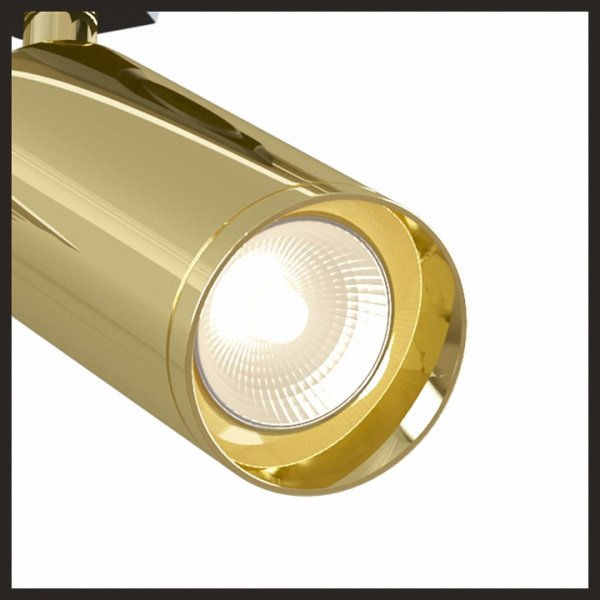 Фото Светильник на штанге Maytoni Focus TR004-1-GU10-G