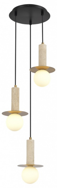 Фото Подвесной светильник ST-Luce Earthy SL1194.303.03