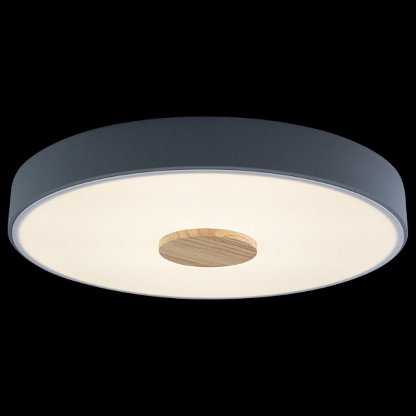 Открыть Накладной светильник Loft it Axel 2 10003/24 Grey Фото Накладной светильник Loft it Axel 2 10003/24 Grey