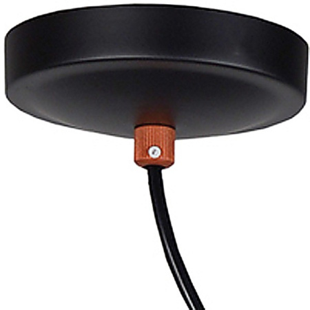 Фото Подвесной светильник Favourite Ampolla 2007-1P