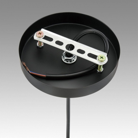 Фото Подвесной светильник Lumion Elenika 8056/1А