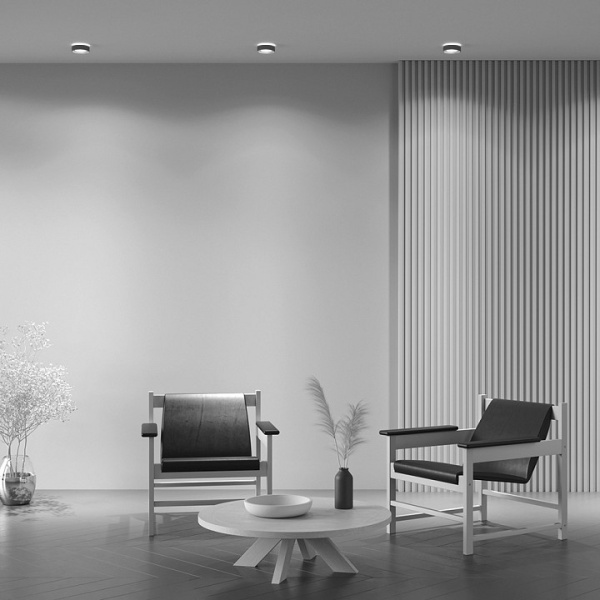 Фото Встраиваемый светильник Maytoni Planet DL035-2-L6B4K