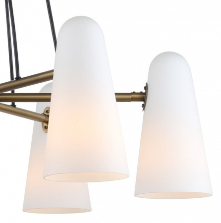 Фото Подвесная люстра Favourite Vision 2763-6P