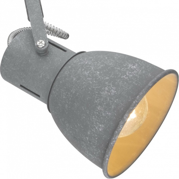 Открыть Спот Arte Lamp Jovi A1677PL-2GY Фото Спот Arte Lamp Jovi A1677PL-2GY