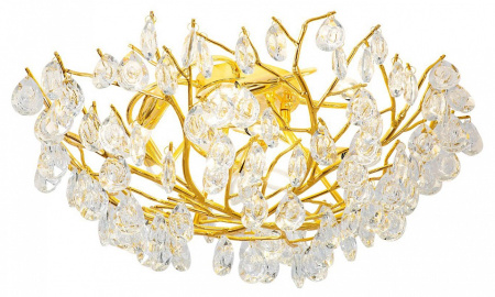 Фото Потолочная люстра Favourite Pluvia 4162-8C