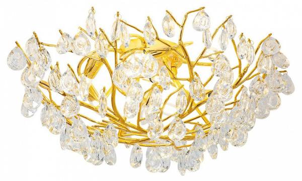 Фото Потолочная люстра Favourite Pluvia 4162-8C