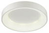 Фото Накладной светильник Odeon Light Sole 4062/50CL