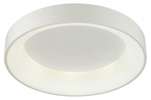 Фото Накладной светильник Odeon Light Sole 4062/50CL