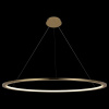 Фото Подвесной светильник Loft it Ring 10014XXL
