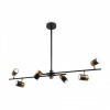 Фото Люстра на штанге Freya Enzo FR5201PL-06B