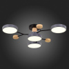 Открыть Потолочная люстра EVOLUCE Faema SLE6006-702-04 Фото Потолочная люстра EVOLUCE Faema SLE6006-702-04