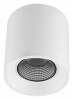 Накладной светильник Denkirs Rodvig DK3090-WH+CH Накладной светильник Denkirs Rodvig DK3090-WH+CH