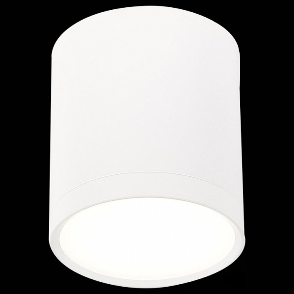 Фото Накладной светильник ST-Luce Rene ST113.542.05