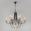 Открыть Подвесная люстра Eurosvet Lazzaro 60098/9 черный Фото Подвесная люстра Eurosvet Lazzaro 60098/9 черный