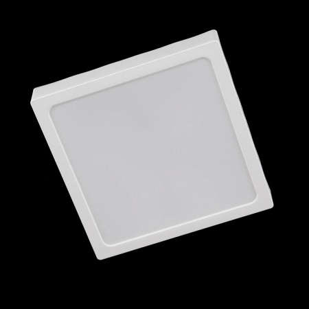 Фото Накладной светильник Citilux Галс CL55K22N