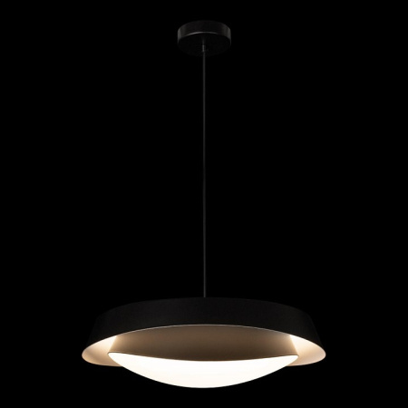 Фото Подвесной светильник Loft it Petale 10256P Black