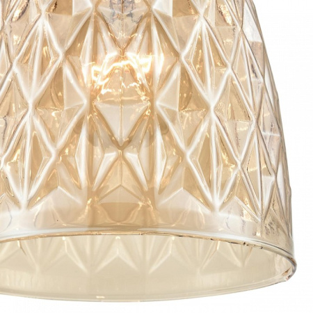 Фото Подвесной светильник Lumion Elenika 8056/1А