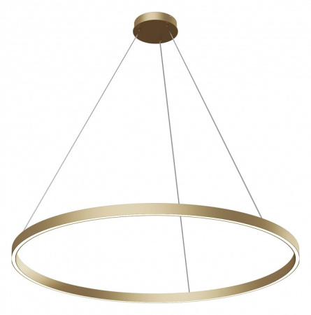 Фото Подвесной светильник Maytoni Rim MOD058PL-L54BS4K