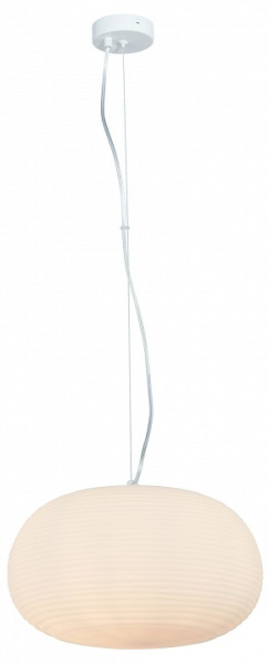 Фото Подвесной светильник Moderli Arden V11346-1P