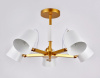 Открыть Люстра на штанге Ambrella Light TR TR3101 Фото Люстра на штанге Ambrella Light TR TR3101
