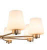 Открыть Подвесная люстра Indigo Tulip 13004/8P Gold Фото Подвесная люстра Indigo Tulip 13004/8P Gold