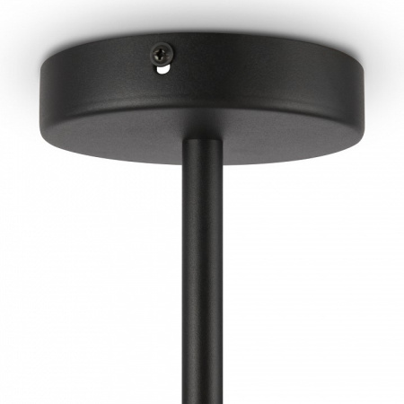 Фото Люстра на штанге Freya Enzo FR5201PL-10B