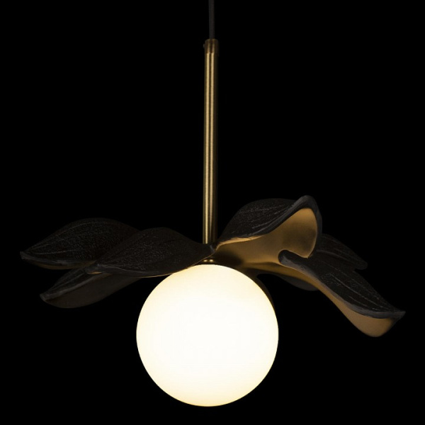 Фото Подвесной светильник Loft it Monro 10213/A Black