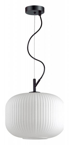 Фото Подвесной светильник Odeon Light Roofi 4754/1