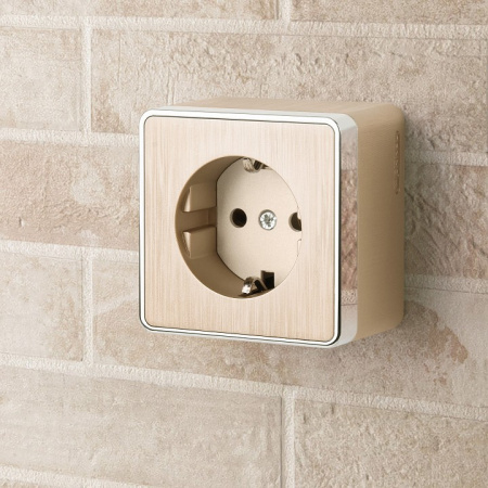 Фото Розетка с заземлением Werkel Gallant (шампань рифленый) W5071010