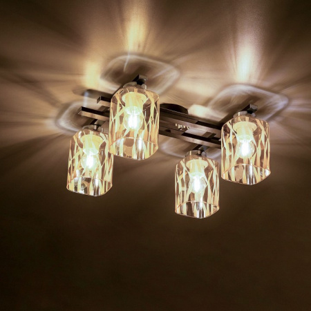Фото Потолочная люстра Citilux Сафари CL145241