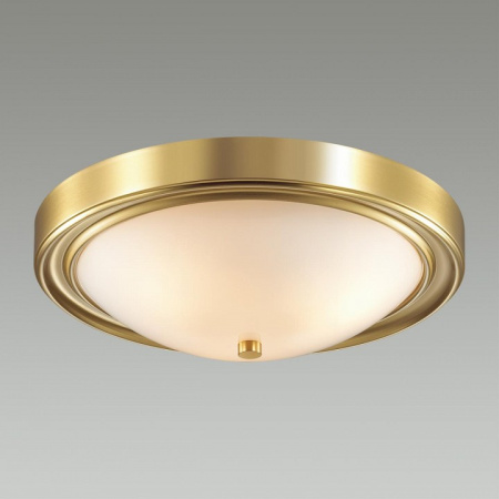 Фото Накладной светильник Lumion Nina 5259/3C